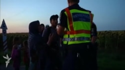 Miqrantlar şengen ərazisindədirlər