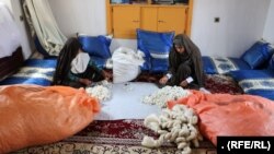 زنان تجارتپیشه پرورش پیله و ریسنده تارابریشم درهرات