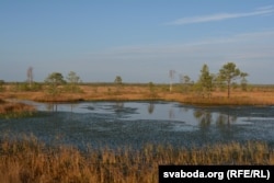 У такіх месцах за насьціл лепш не заступаць