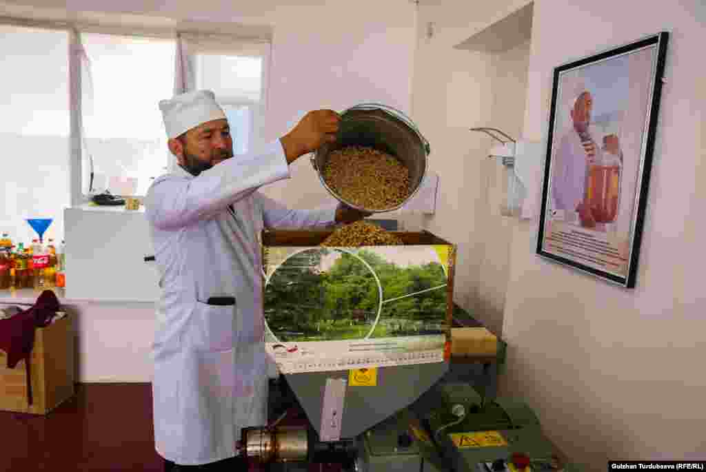 Арстанбаптын тургуну Эркинбек Кадыров үйүнүн короосунда эле жаңгактан май чыгарган чакан ишкана ачкан.