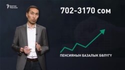 Пенсиялык реформа: эмнелер өзгөрөт?