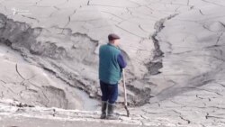 Көмүрдүн саркындысы түшүмдү азайтты