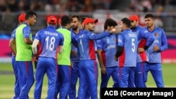 آرشیف - اعضای تیم ملی کریکت افغانستان