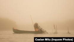 Delta Dunării, rămâne o destinație favorită a românilor amatori de natură sălbatică.