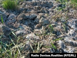 Соли на берегах речки