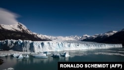 Аргентинадагы мөңгүлөрдүн бири. 