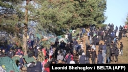 Мигранты на границе Беларуси с Польшей