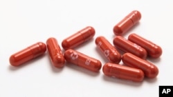 «Մոլնուպիրավիր»-ի պարկուճներ, հոկտեմբեր, 2021թ․