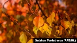 Бишкек. Архив.