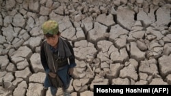 آرشیف، کودکی در منطقه خشک ولسوالی بالا مرغاب ولایت بادغیس 