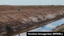 Illýustrasiýa suraty