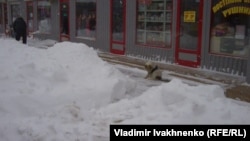 Киев, 23 марта