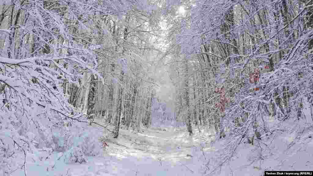 Перші дні 2020 року зустріли кримчан плюсовою температурою і дощовою погодою. Сніг можна було побачити тільки на ПБК &ndash; на плато Ай-Петрі