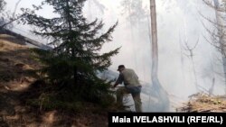 Возгорание в Абастумани – это уже пятый пожар, возникший за последние семь дней в регионе Самцхе-Джавахети