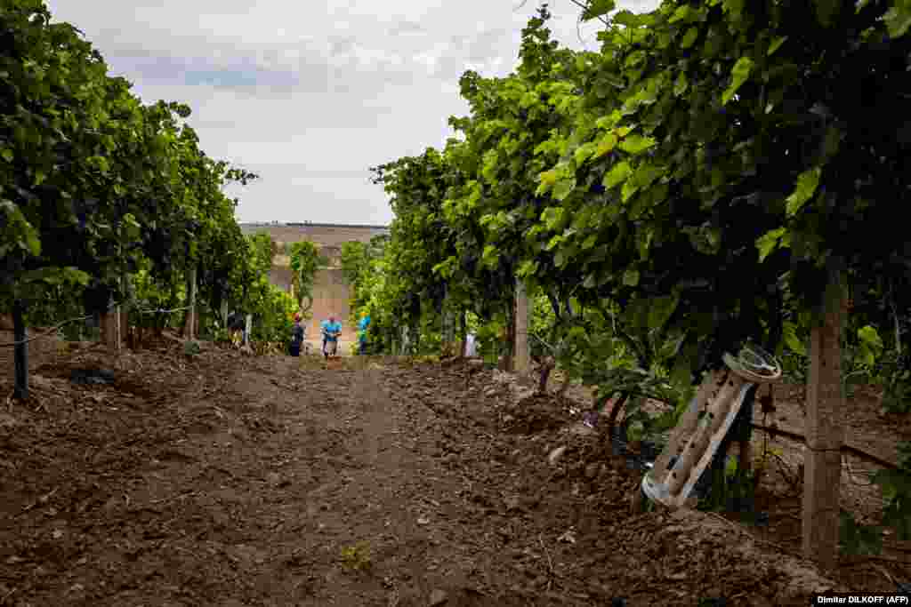 Після вторгнення Росії в Україну 24 лютого це віддалене від цивілізації місце втратило свій звичний спокій