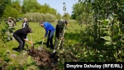 Місцеві копачі допомагають поліції ексгумувати тіло вбитого чоловіка у селі Термахівка на Київщині