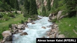 Григорий капчыгайы.