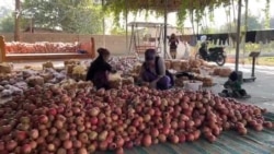 "Агар анор бошад, зиндагии мо ҳам беҳтар мешавад"
