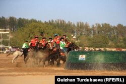 Кыргызстандык жана өзбекстандык көкбөрүчүлөр. Финалдык беттеш. 7-сентябрь.