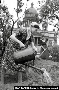 У сквері біля Ісаакіївського собору в Ленінграді блокадники вирощували капусту