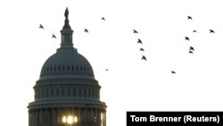 Сенатор Грем висловив надію, що президент Джо Байден за підтримки Конгресу наслідує приклад Литви