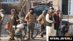 تعدادی از کارگران روز مزد که کنار یک جاده در ولایت هرات در انتظار یافتن کار هستند