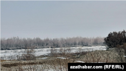 Türkmenistanda soňky birnäçe gün bäri dowam edýän sowuk howa akymynyň arasynda Amyderýanyň akabasynda buzluklar emele geldi. Ýanwar, 2023 ý.