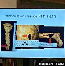 Фрагмэнт прэзэнтацыі Рымантаса Янкаўскаса