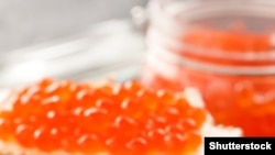 Ձկնկիթ, արխիվային լուսանկար