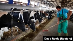 Иллюстратив фото