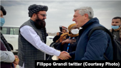سفر فیلیپو گراندی به افغانستان