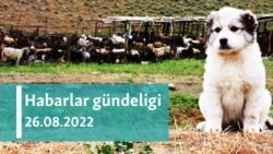 Habarlar gündeligi - 26-njy awgust, 2022-nji ýyl
