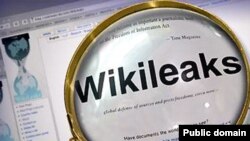 General -- wikileaks banner