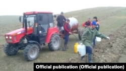 Ноокен районундагы түшүмдүүлүгү аз жерлерге бак тигилип жатат.