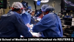 سالانه افراد زیادی در افغانستان و جهان به دلیل ابتلا به بیماری‌ها قلبی جان‌های خود را از دست می‌دهند.