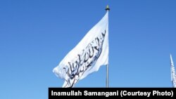 بیرق طالبان