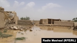 تخریبات ناشی از سیلاب های اخیر در ولایت پکتیا 