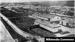 Концтабір «Талергоф», 1917 рік