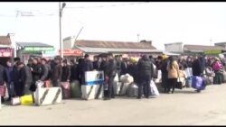 Кыргыз-өзбек чек арасындагы тыгын