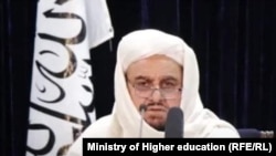 عبدالباقی حقانی سرپرست وزارت تحصیلات عالی افغانستان