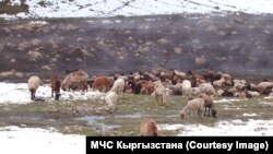 Сырт өрөөнү. 2-июнь, 2022-жыл. 