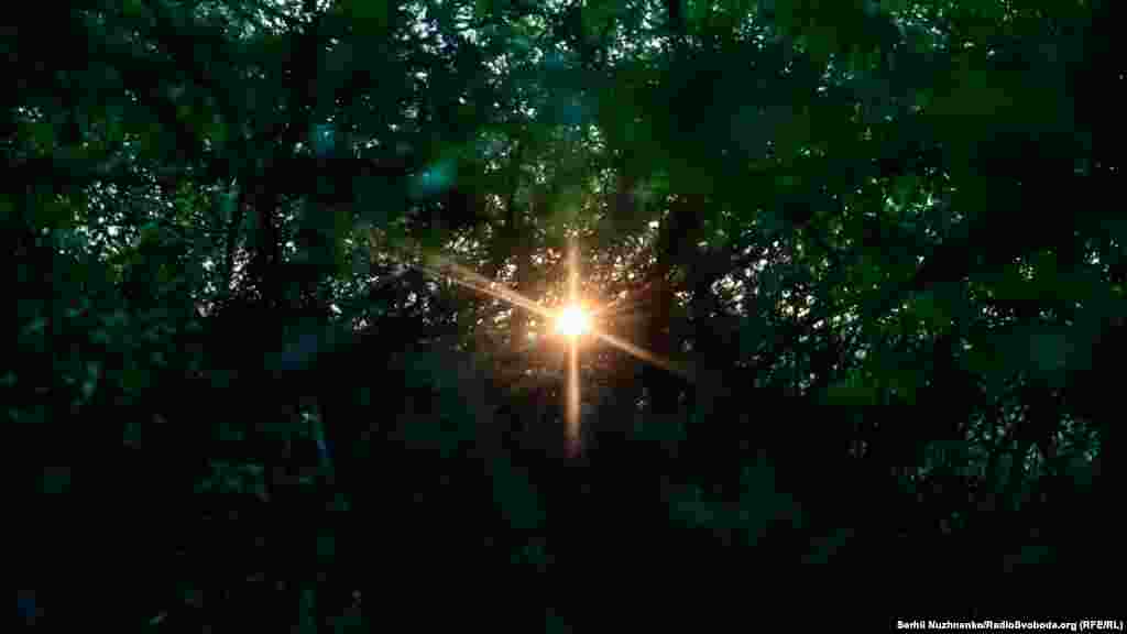 Схід сонця. Харківщина, травень 2022&nbsp;