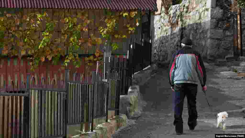 ...або з домашніми улюбленцями&nbsp;