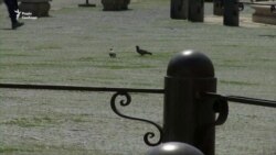 Через відсутність туристів площі Риму обростають травою – відео