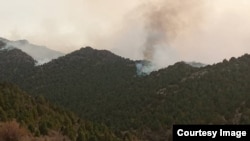 Булак-Башы жайлоосунда чыккан өрт. 15-сентябрь, 2022-жыл.