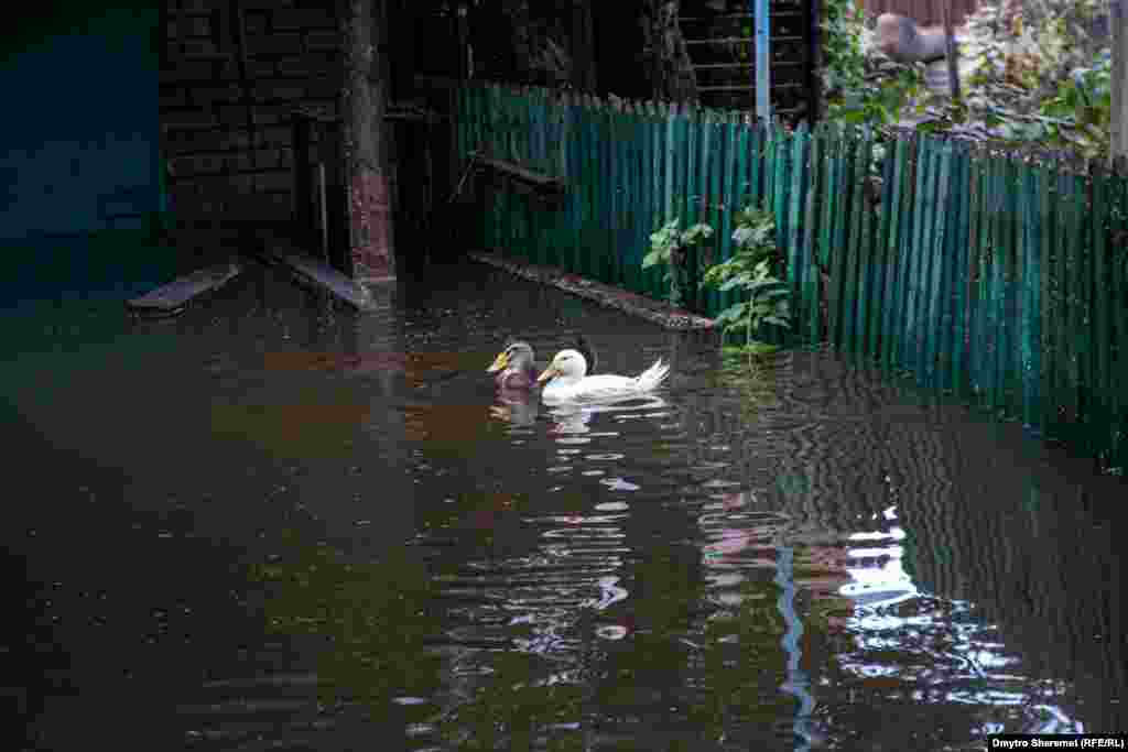 Через швидке зростання рівня води частину жителів довелося евакуювати&nbsp;