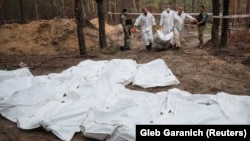 Изюмдун чет жакасындагы токойдон табылган массалык сөөк көмүлгөн жай.