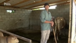 Теңчиликти туу туткан кайрылман үй-бүлө    