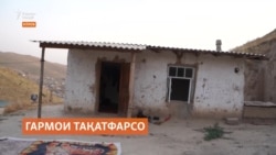 "Аз гармо ба дод омадаем, вале илоҷе надорем!"