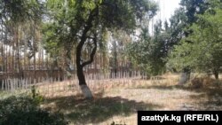 Талашка түшкөн жер